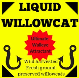 Liquid Willowcat