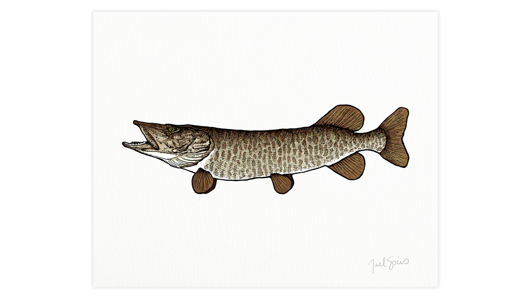 Musky Print