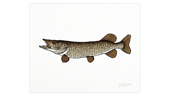 Musky Print