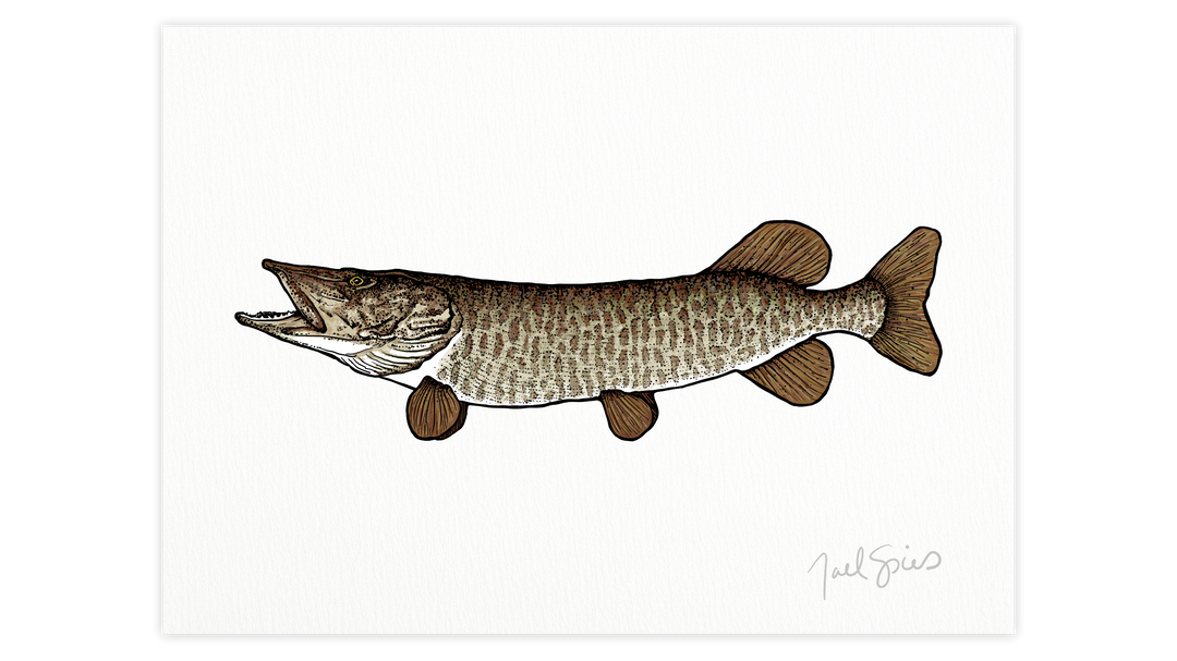 Musky Print