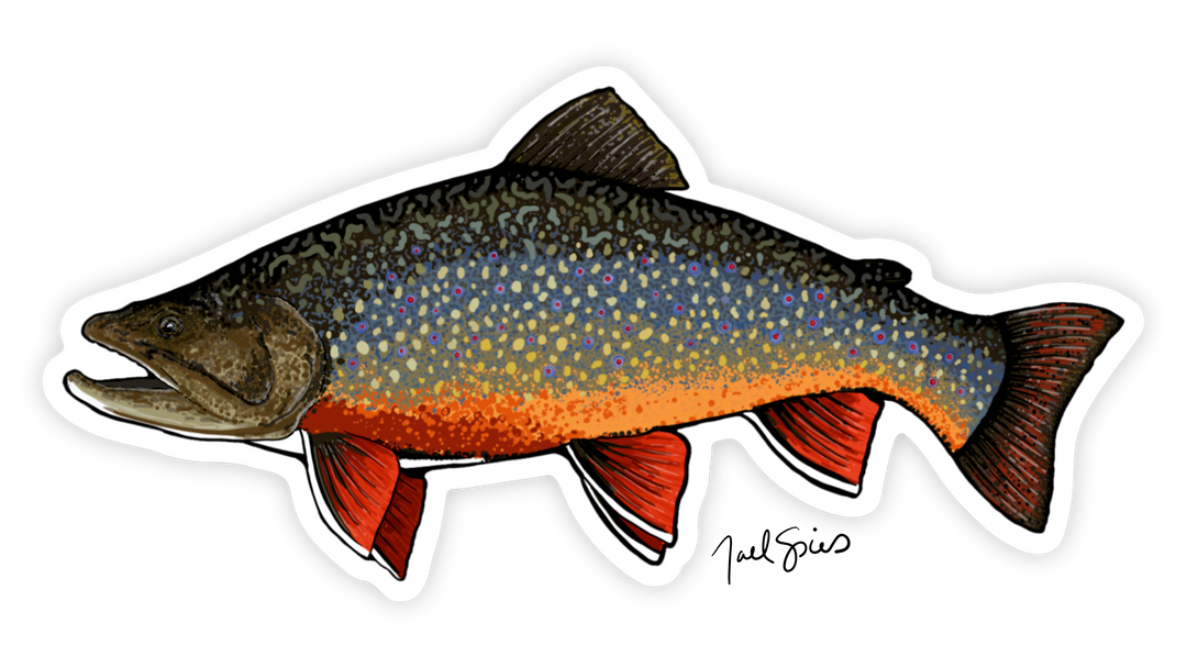 Brook Trout Decal