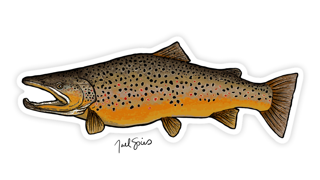 Brown Trout Decal