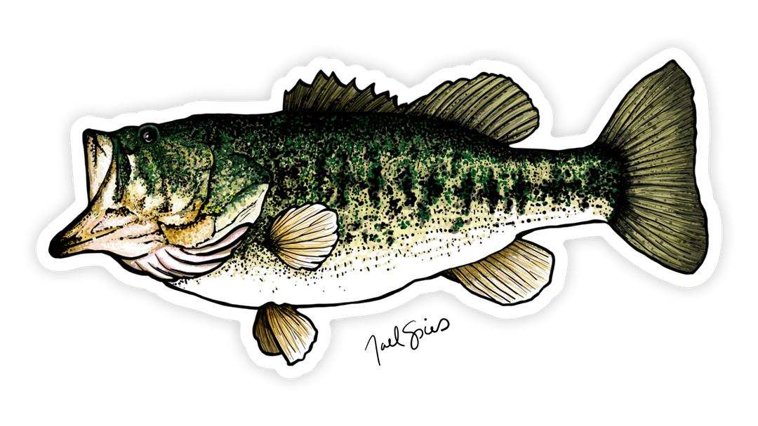 Largemouth Decal