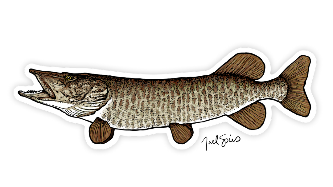 Musky Decal