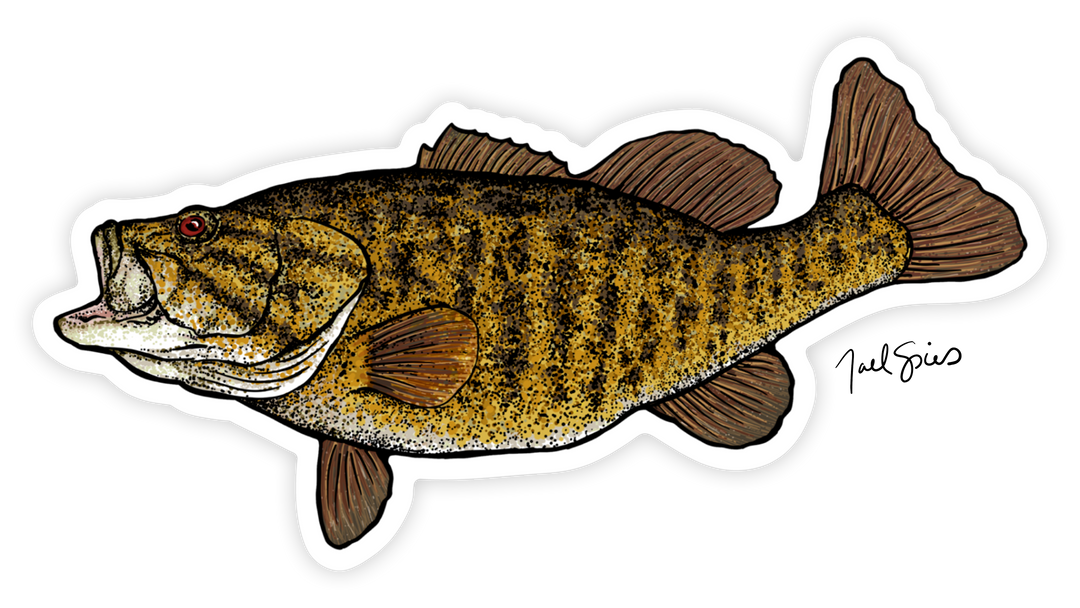 Smallmouth Decal