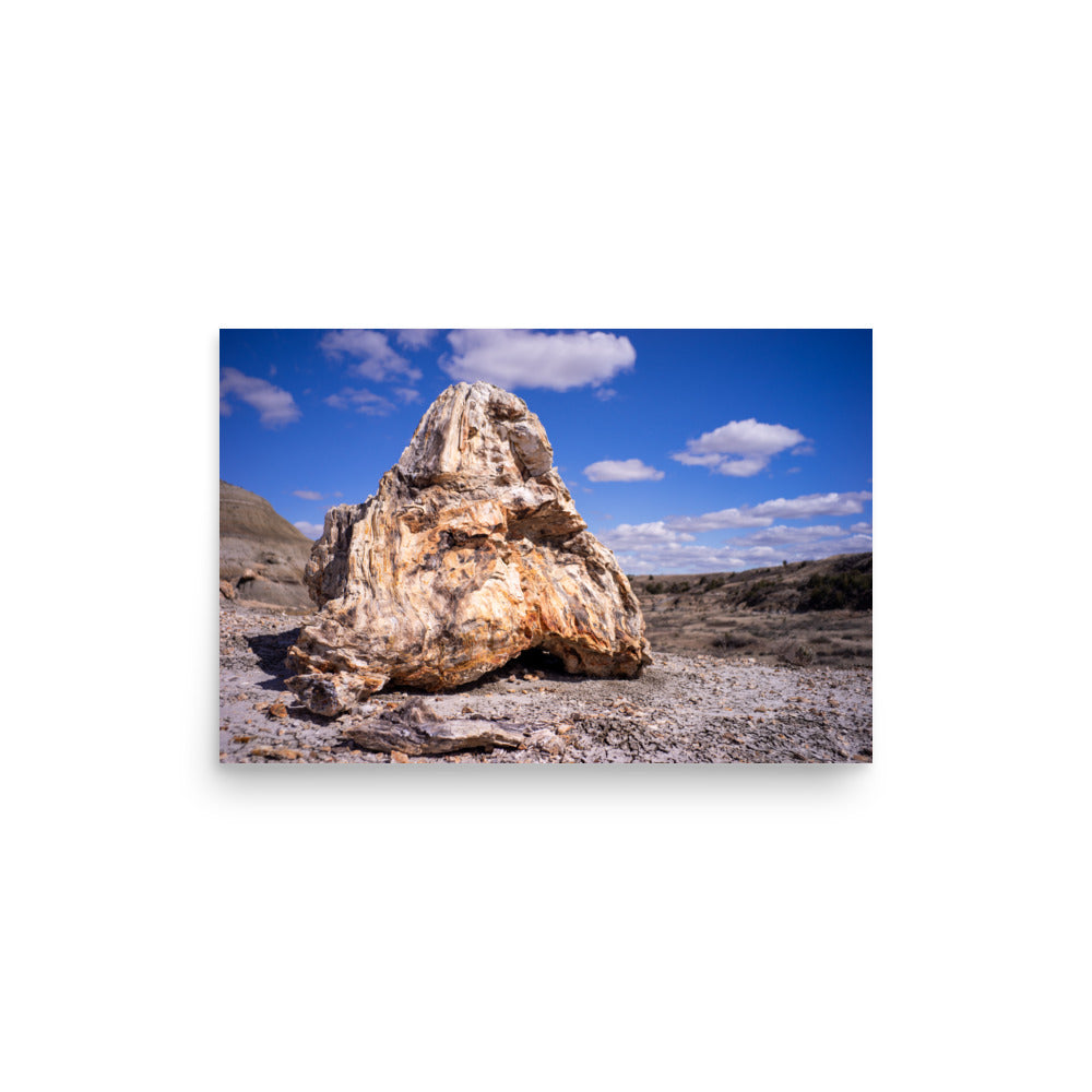 Petrified Rock
