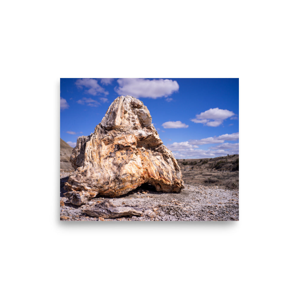 Petrified Rock